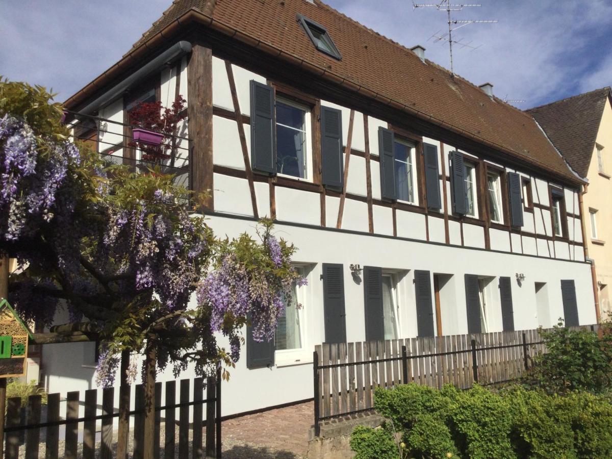 Gite Cote Jardin Ingersheim Buitenkant foto